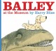Go to record Bailey at the museum