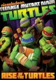 Go to record Teenage mutant ninja turtles. Rise of the turtles