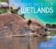 Go to record Bringing back our wetlands