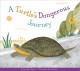 Go to record A turtle's dangerous journey