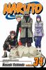 Go to record Naruto #34, The reunion