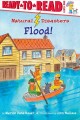 Go to record Flood!