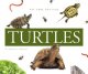 Go to record Turtles