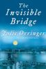 Go to record The invisible bridge