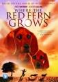 Go to record Where the red fern grows