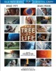 Go to record The tree of life