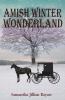 Go to record Amish winter wonderland #2