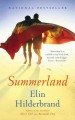 Go to record Summerland a novel