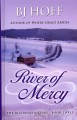 Go to record River of mercy #3