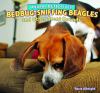 Go to record Bedbug-sniffing beagles and other scent hounds