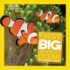 Go to record First big book of the ocean
