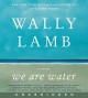Go to record We are water a novel