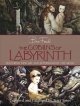 Go to record The goblins of Labyrinth