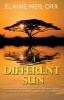 Go to record A Different Sun a novel of Africa