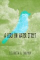 Go to record A bird on water street