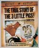 Go to record The true story of the 3 little pigs