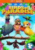 Go to record Birds of paradise