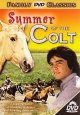 Go to record Summer of the colt