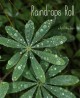 Go to record Raindrops roll