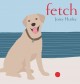 Go to record Fetch
