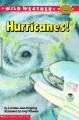 Go to record Hurricanes!