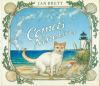 Go to record Comet's nine lives