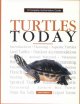 Go to record Turtles yearbook