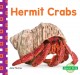 Go to record Hermit crabs