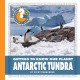 Go to record Antarctic tundra