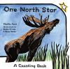 Go to record One north star : a counting book
