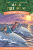 Go to record Dolphins at daybreak