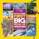 Go to record Little kids first big book of weather