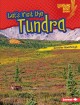 Go to record Let's visit the tundra