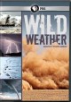 Go to record Wild weather
