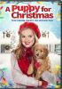 Go to record A puppy for Christmas