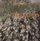 Go to record Blizzards
