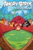Go to record Angry Birds. Flight school.