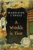 Go to record A wrinkle in time youth book club