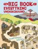 Go to record The big book of everything underground