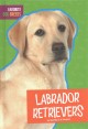 Go to record Labrador retrievers