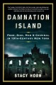 Go to record Damnation Island : poor, sick, mad & criminal in 19th-cent...