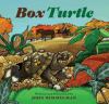 Go to record Box turtle