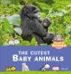 Go to record The cutest baby animals