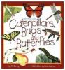 Go to record Caterpillars, bugs, and butterflies