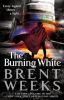 Go to record The burning white. #5