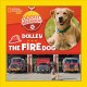 Go to record Dolley the fire dog