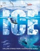 Go to record Ice : chilling stories from a disappearing world