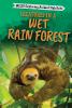 Go to record Creatures in a wet rain forest