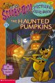 Go to record The haunted pumpkins #8