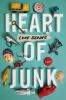 Go to record Heart of junk